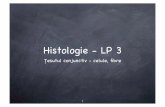 Histologie LP3 Tesut Conjunctiv MNI 2011