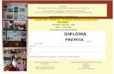 Creatii Plastice Diploma 1-1
