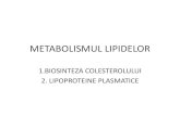 Metabolismul lipidelor - biochimie
