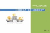 Moneda Si Credit - Modulul II - Curs Id