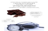 Ciocolata Neagra proiect MCS