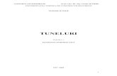 T. IFTIMIE. Tuneluri. partea I. Elemente introductive. UTCB. 1997-2009 .pdf