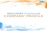 Brumm Company Profile