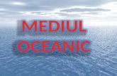 Mediul oceanic