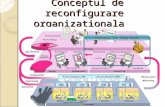 Conceptul de reconfigurare organizationala