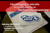 Microblogging in educatie