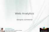 Despre Conversii in Google Analytics