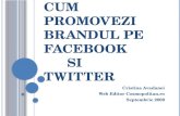 Cum promovezi brandul pe Facebook si Twitter (septembrie 2009)