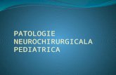 Patologie Neurochirurgicala Pediatrica Si Functionala ( malformatii congenitale)