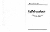 Ghid de Anatomie. Organe, Aparate Si Sisteme, Mihaela Oravitan, Mirton 2007