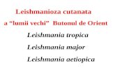 Curs 2 -3 Leishmania