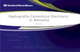 Daniel Enescu- Radiografia cometrului electronic