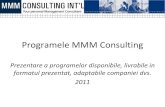 Oferta MMM Consulting