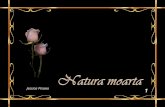Natura Moarta (Picturi) 1-pps