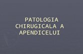 Patologia Chirugicala a Apendicelui