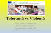 Toleranță vs violență