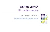 Fundamentele Limbajului Java