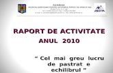 Raport final 2010