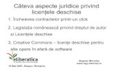 "Legal Issues Regarding Free Software and Open Source Licensing" by Bogdan Manolea @ eLiberatica 2007