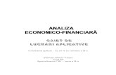 53510163 caiet-aplicatii-analiza-economico-f