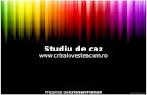 2010.01.20 Cristian FILIMON - Studiu de caz - SEO pentru crizalovesteacum.ro