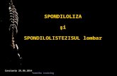 Spondiloliza 29 06 14