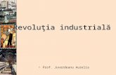 revolutia industriala