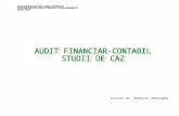 Audit Financiar-Contabil - Studii de Caz