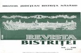 Revista Bistritei XII XIII 1999