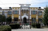 Colegiul Tehnic de Arte și Meserii ”Constantin Brâncuși” Craiova