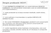 Prezentare Introductiva _ Game Vichy