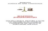 Buletinul Jurisprudentei Civil 2011