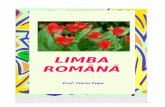 Gramatica Lb.romane