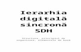 Ierarhia Digitala Sincrona - SDH