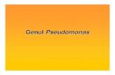Genul Pseudomonas