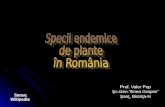 0 Specii Endemice de Plante in Romania