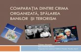 Comparatia Dintre Crima Organizata, Spalarea Banilor Si Terorism