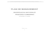 Plan Management_PEŞTERA COMARNIC