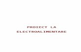 PROIECT LA ELECTROALIMENTARE.doc