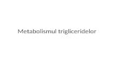 Metabolismul trigliceridelor