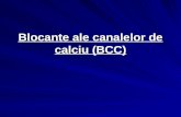 Blocante Ale Canalelor de Calciu (BCC) 2013