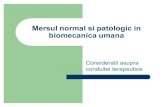 Mersul Normal Si Patologic in Biomecanica Umana