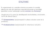 Enzime - Curs 9
