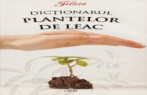 122 Dictionarul plantelor de leac.pdf