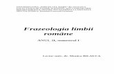 Frazeologia Lb. Romane. Curs. DR
