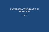 Lp 8 - Patologia Tiroidiana Si Nervoasa