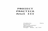 PROIECT PRACTICA ANUL III.doc