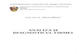 Analiza Si Diagnostic Curs 2012-2013