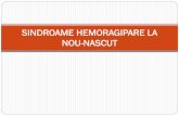SINDROAME HEMORAGIPARE LA NOU-NASCUT