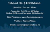 Razvan Alexa - Cum sa iți faci primul site cu care să castigi 1000$ pe luna